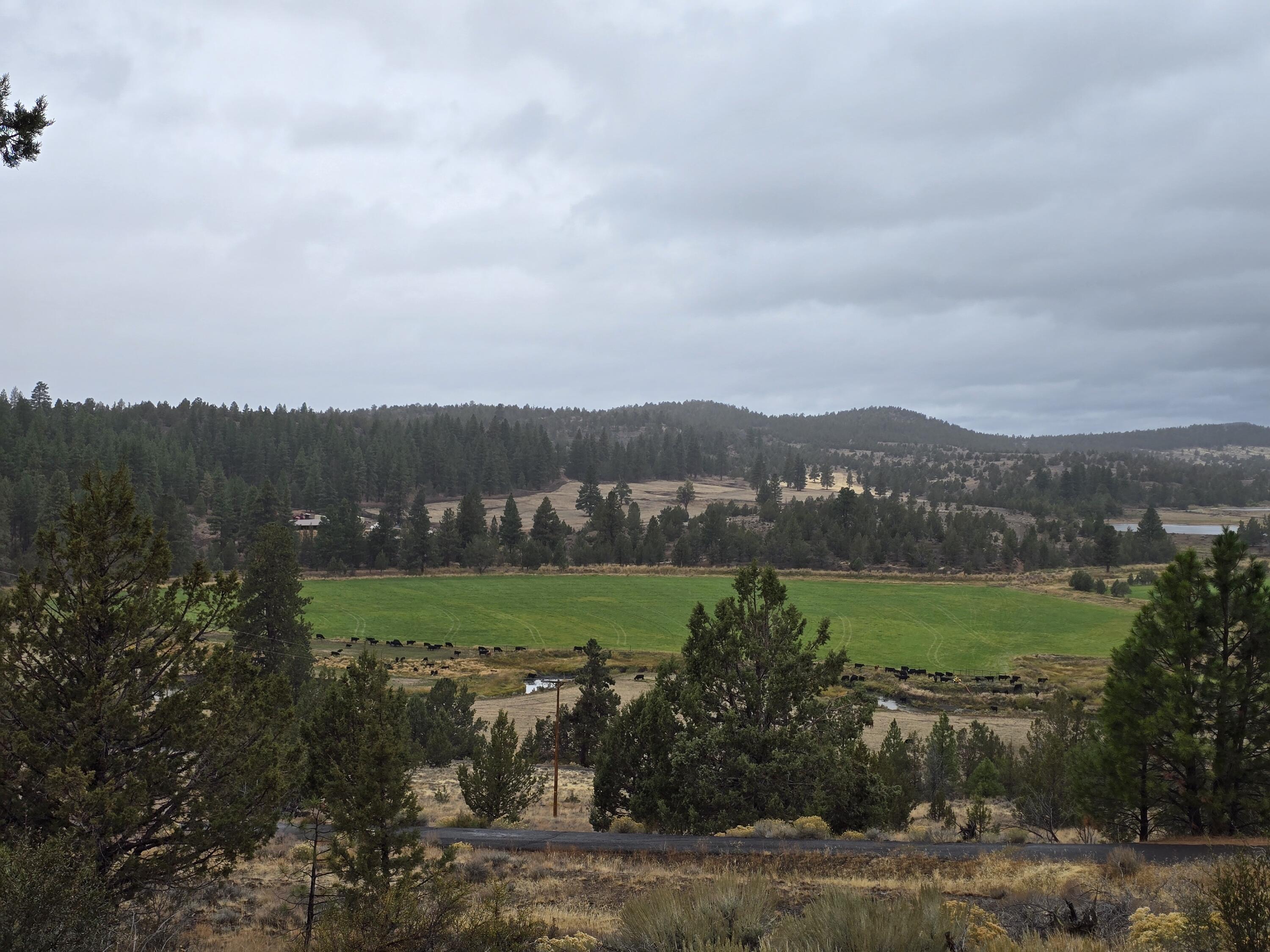 Drews Development - Residential