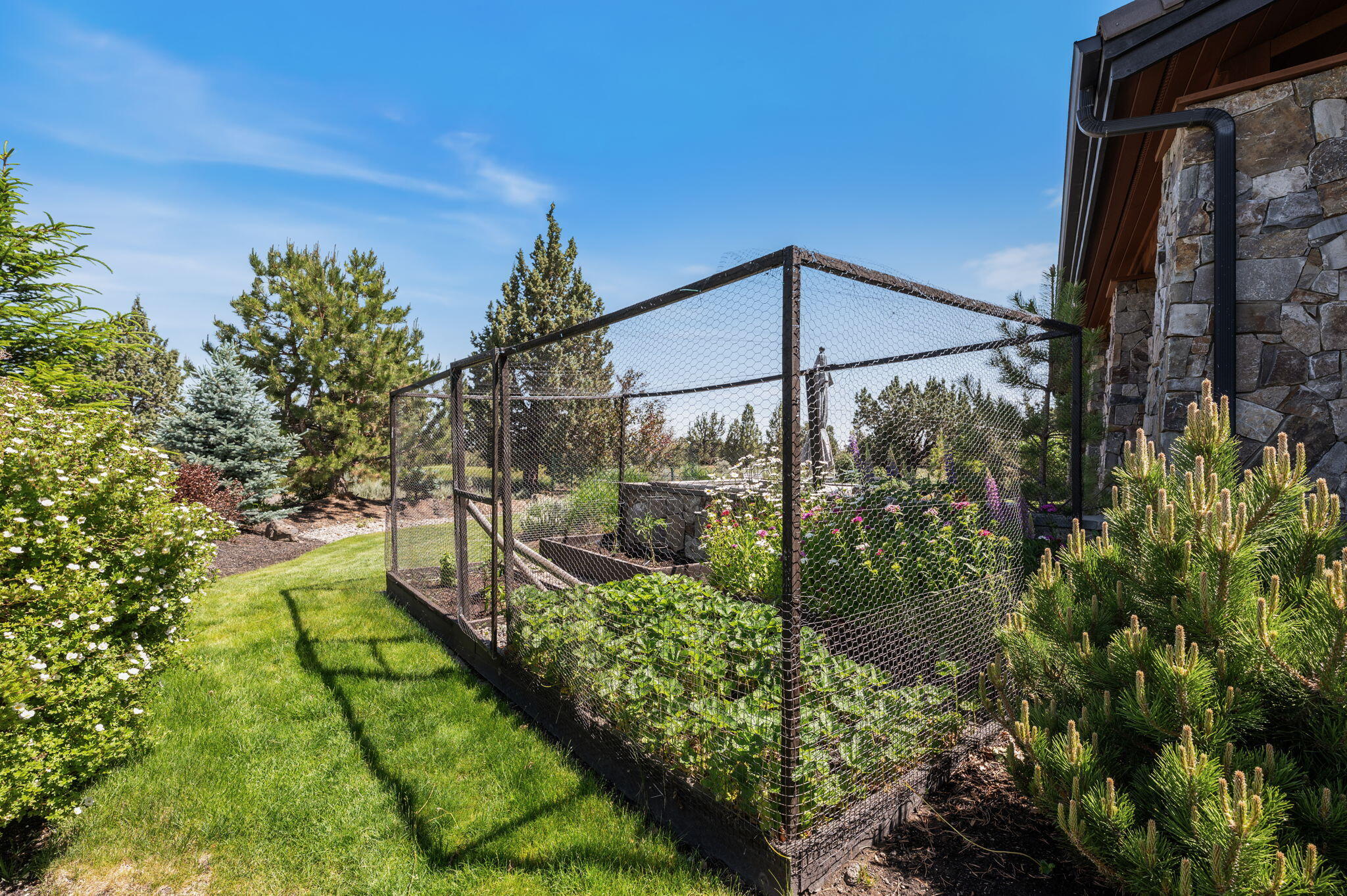 Pronghorn - Residential