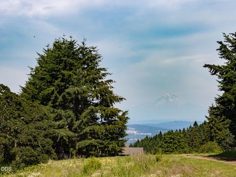 Tiny photo for 36159 SW Viewridge Lane, Hillsboro, OR 97123 (MLS # 220223523)