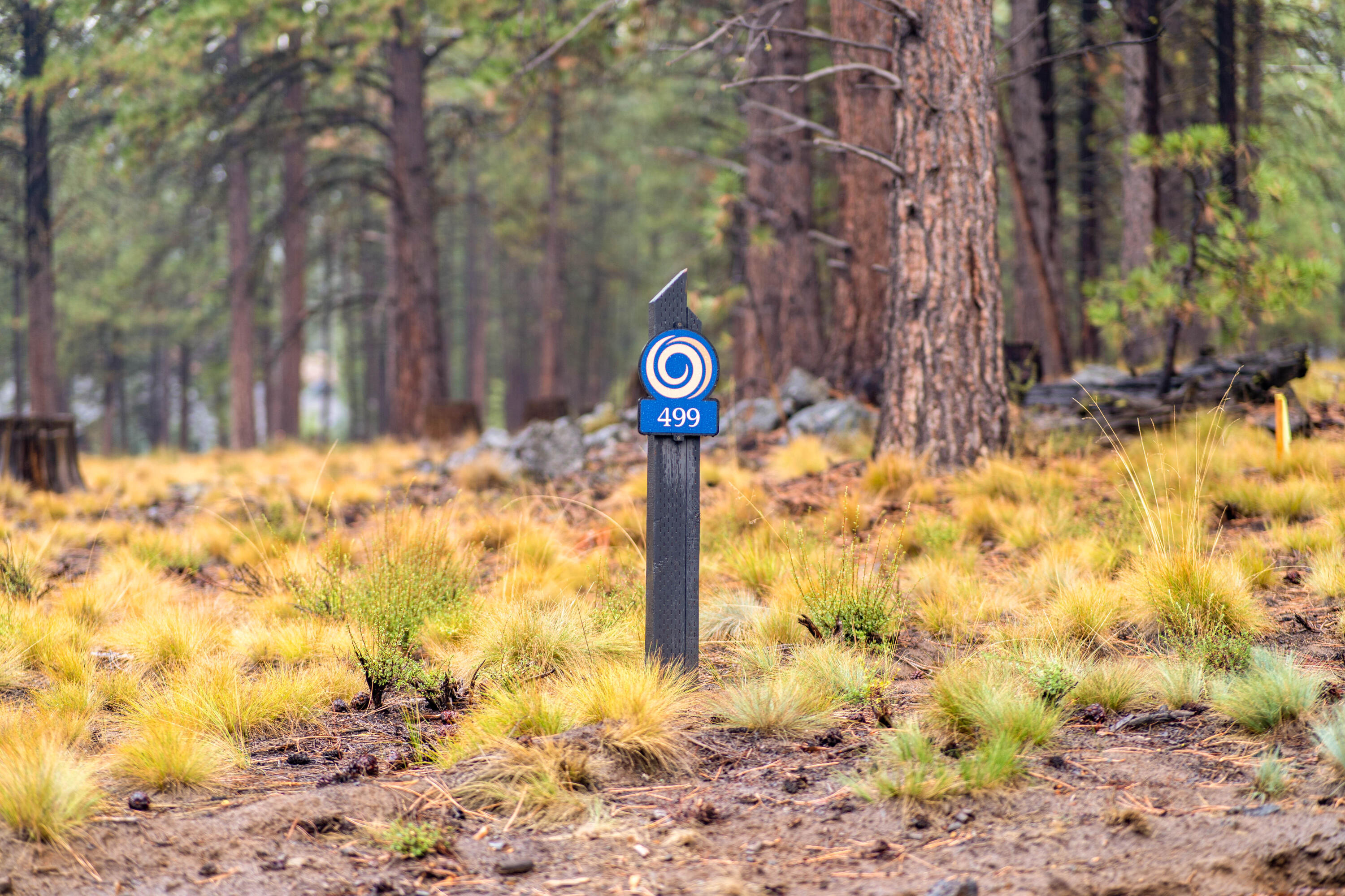 Caldera Springs - Land