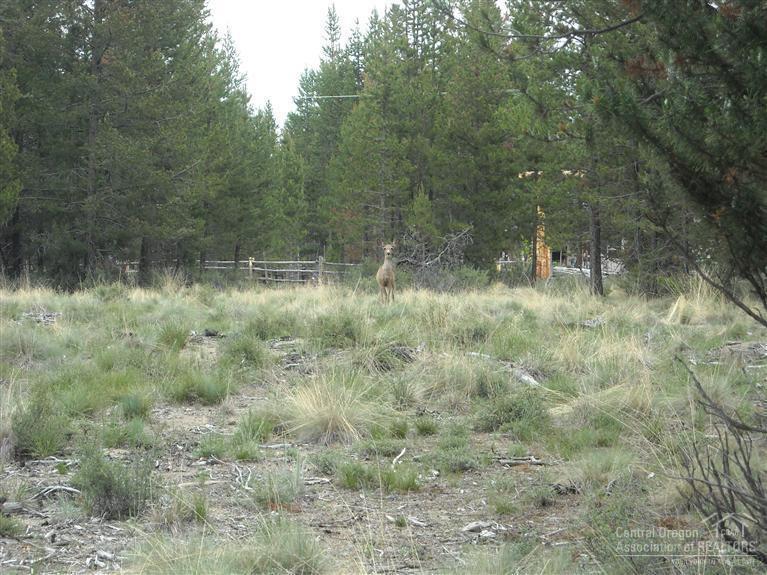 Split Rail Ranchos - Land