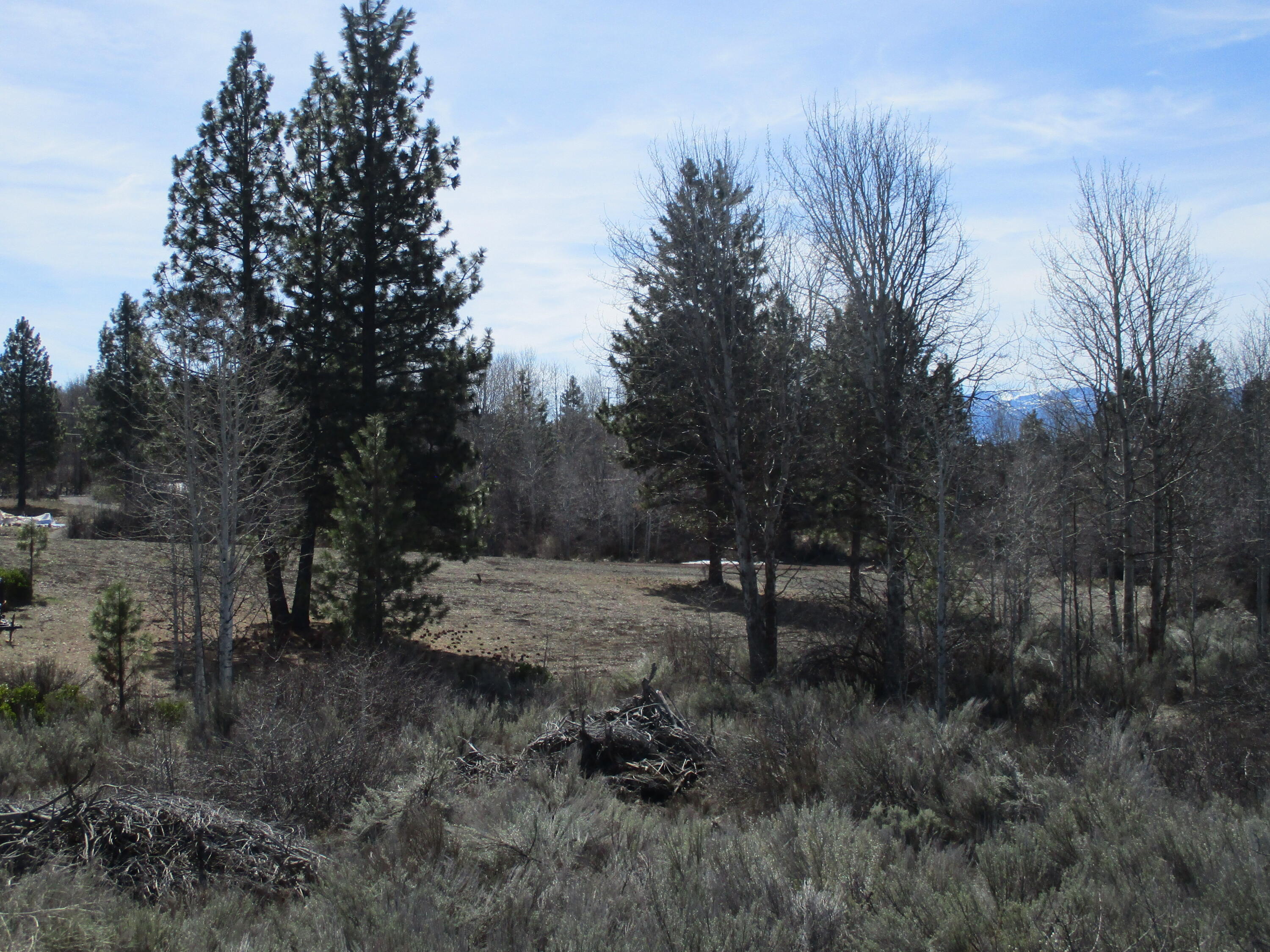 Oregon Shores - Land