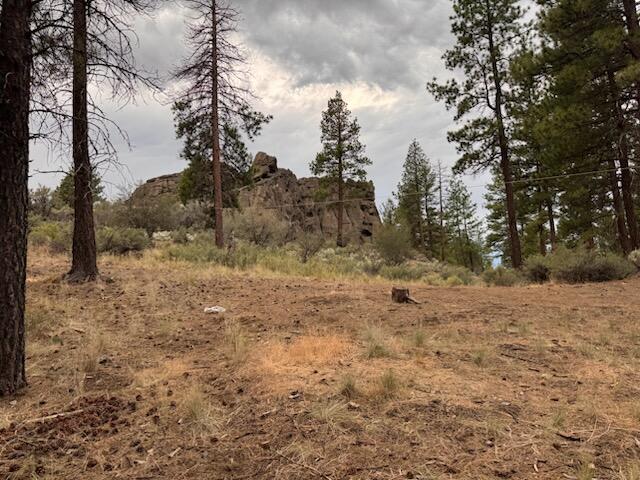 Klamath Forest Estates -First Addition - Land