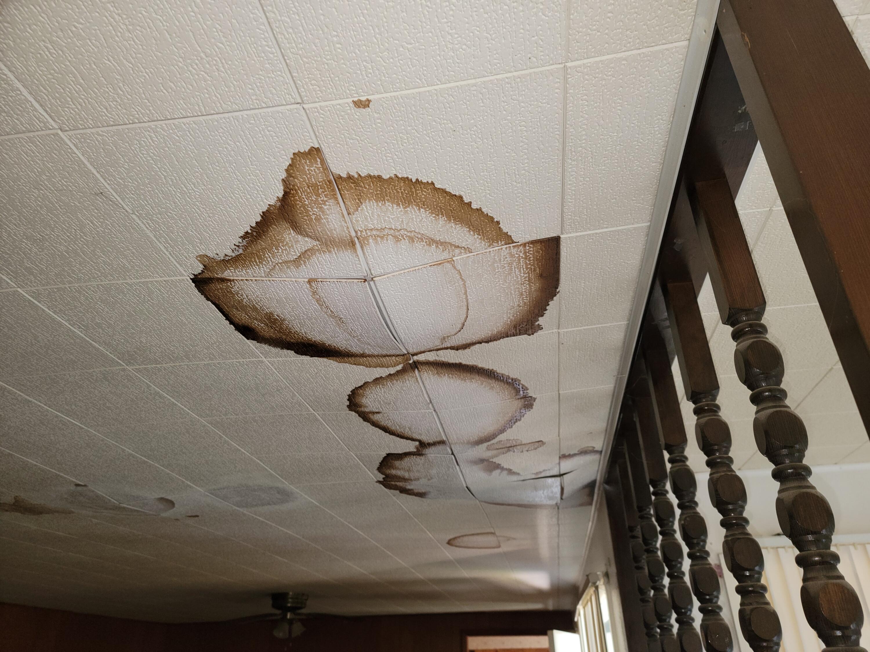 Hand Addition - Residential