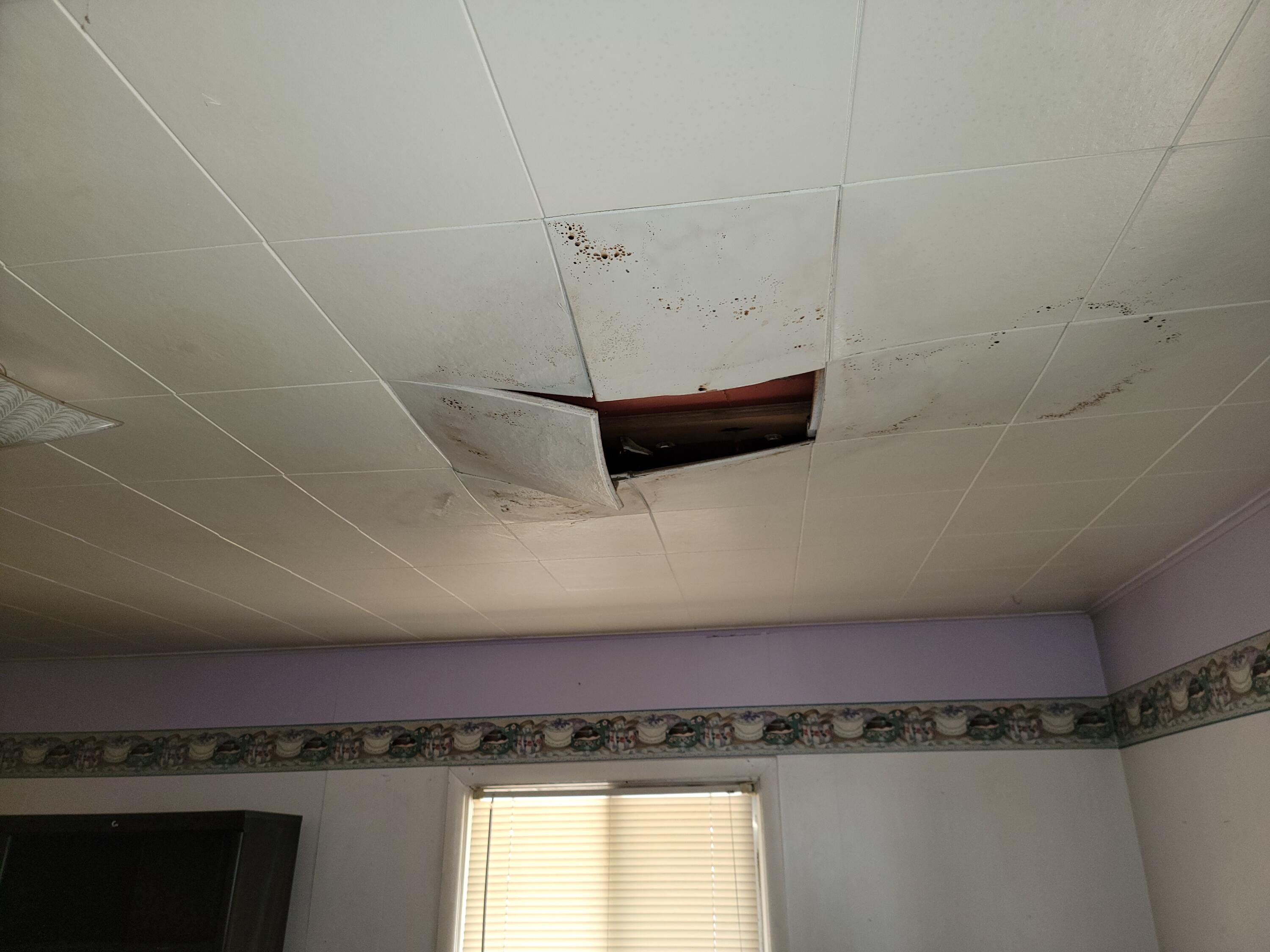 Hand Addition - Residential