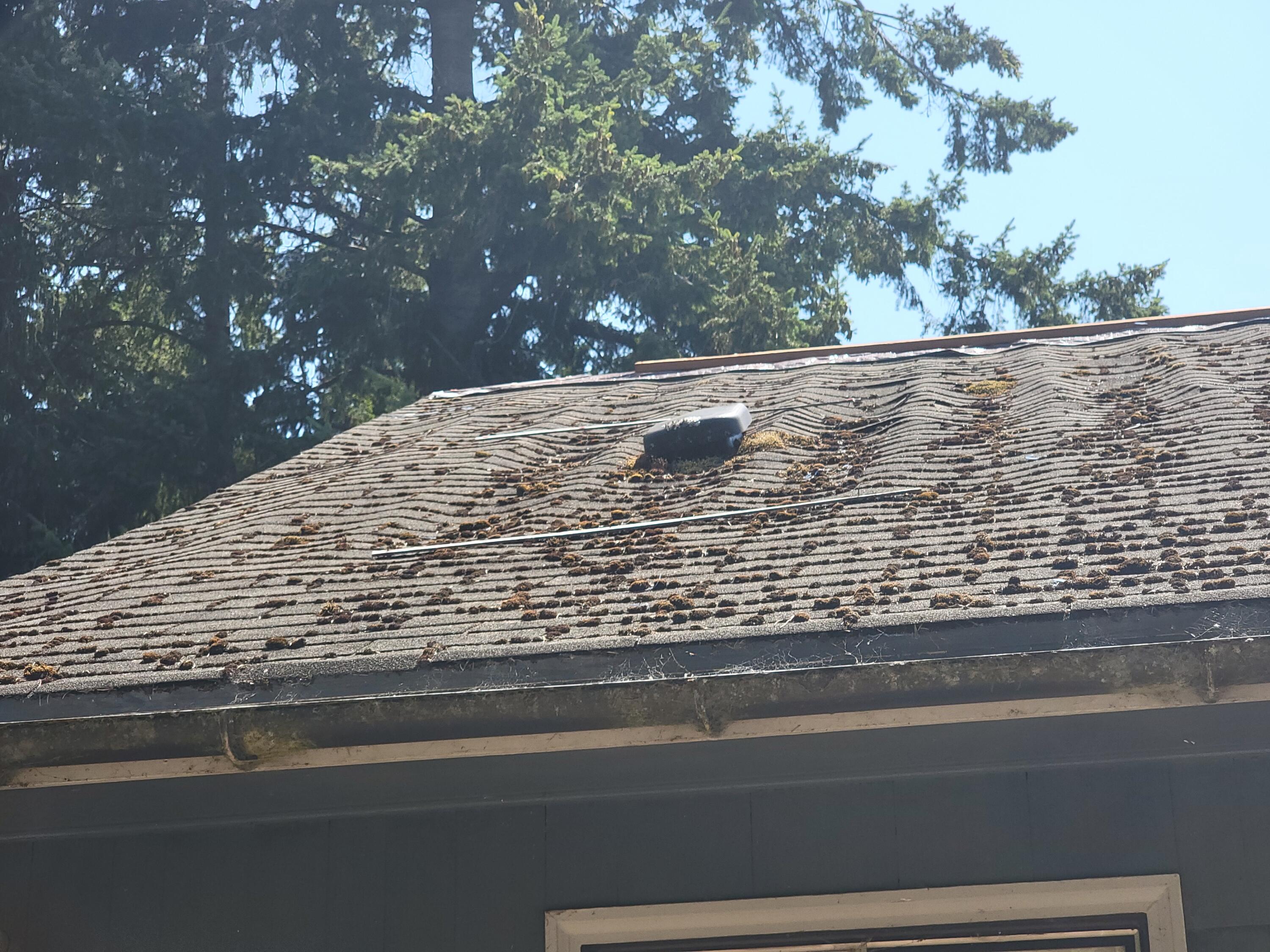 Hand Addition - Residential