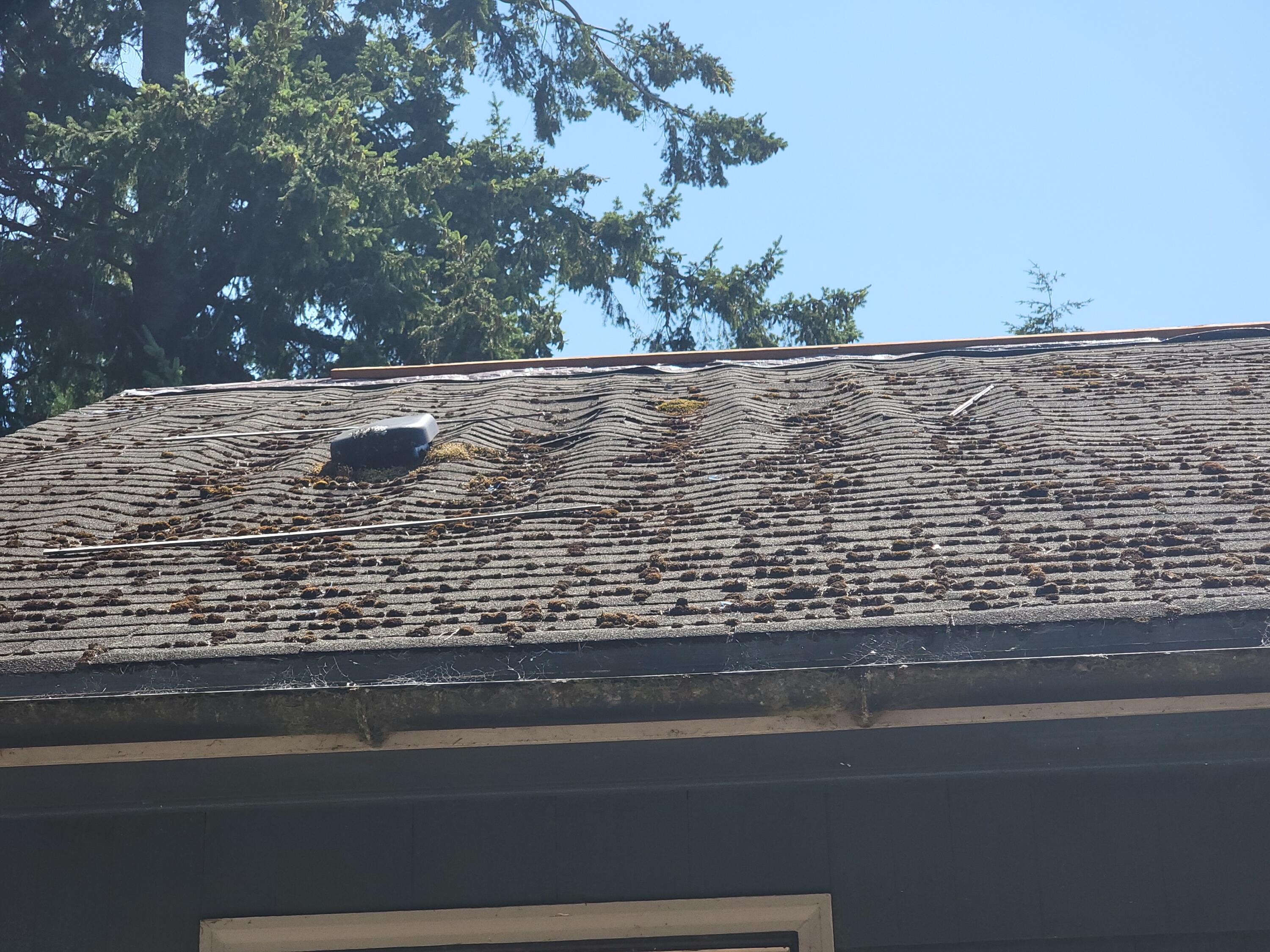 Hand Addition - Residential