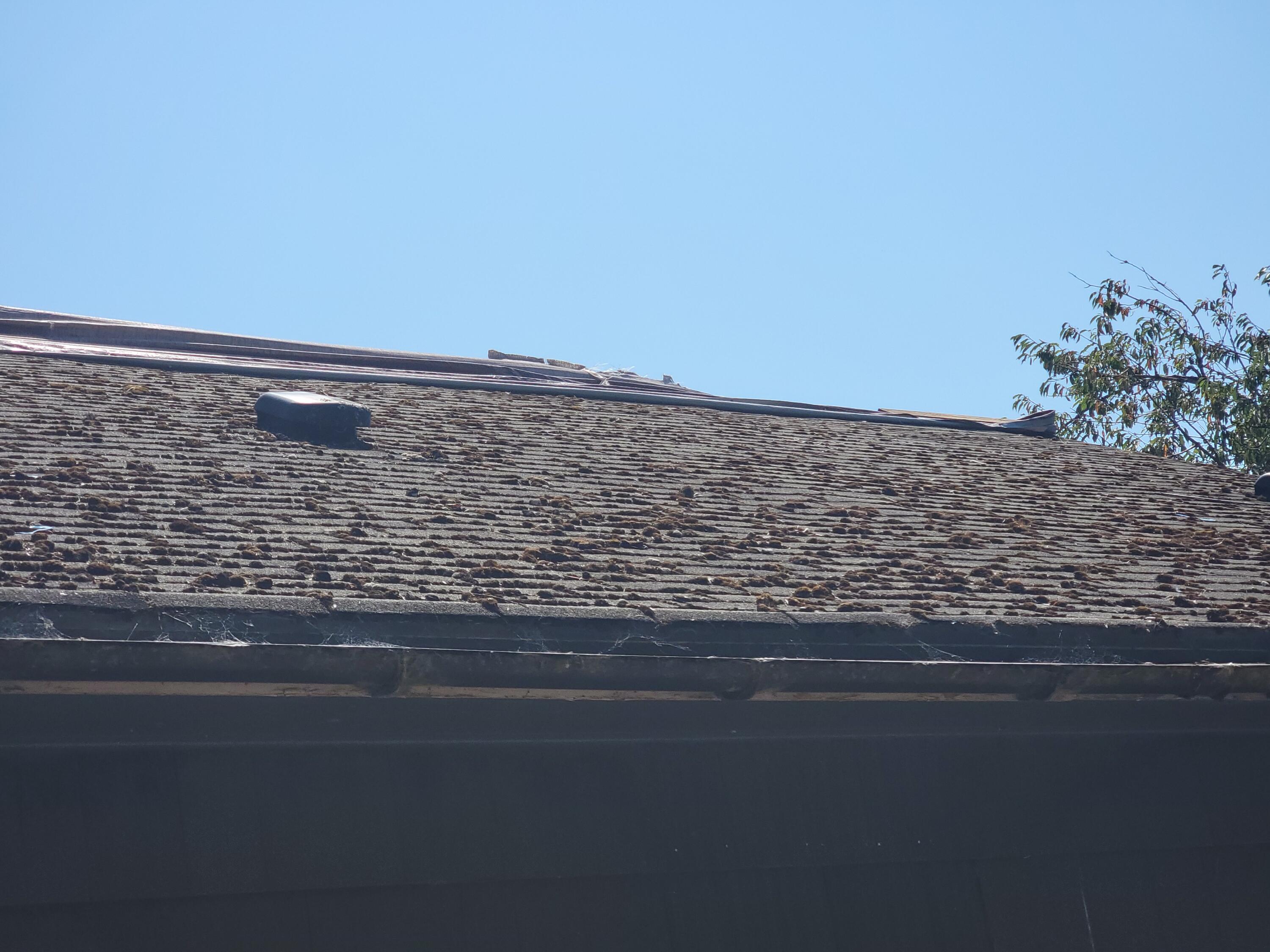 Hand Addition - Residential