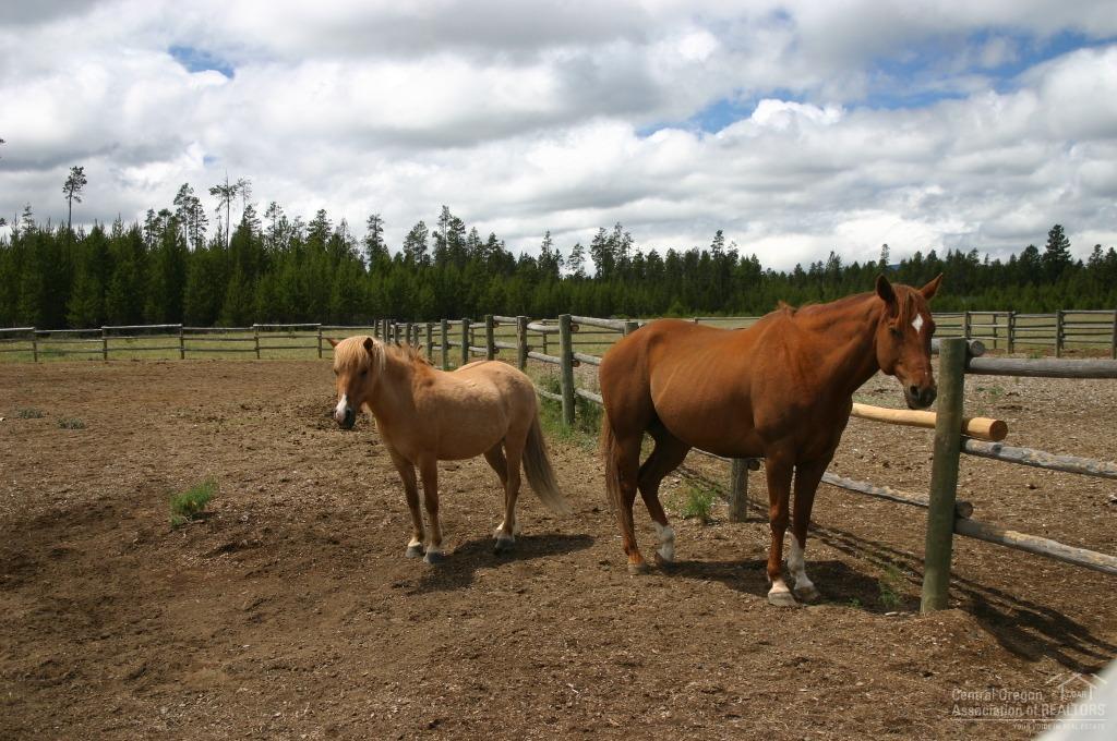 Vandevert Ranch - Land