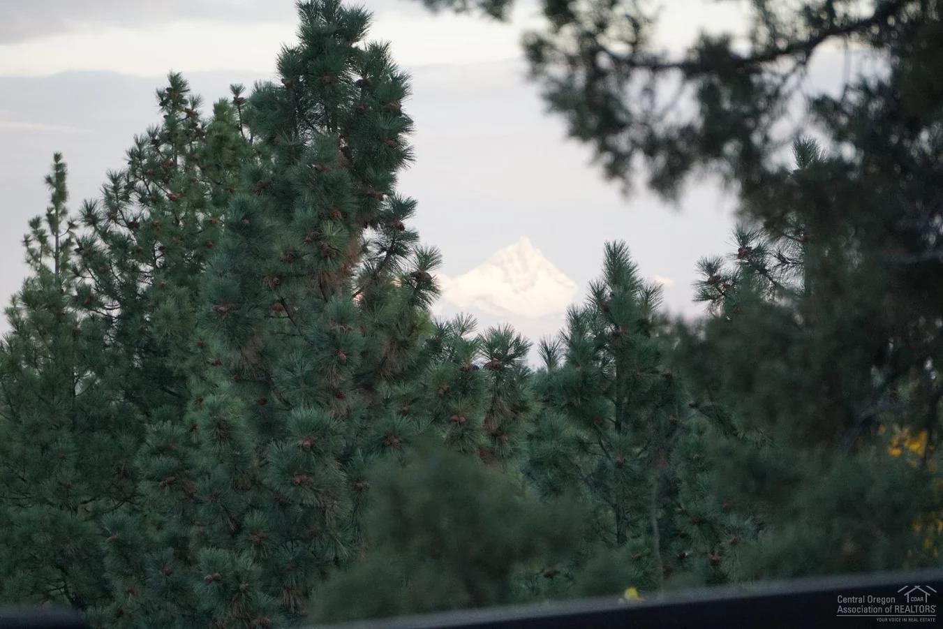 Renaissance@Shevlin - Land