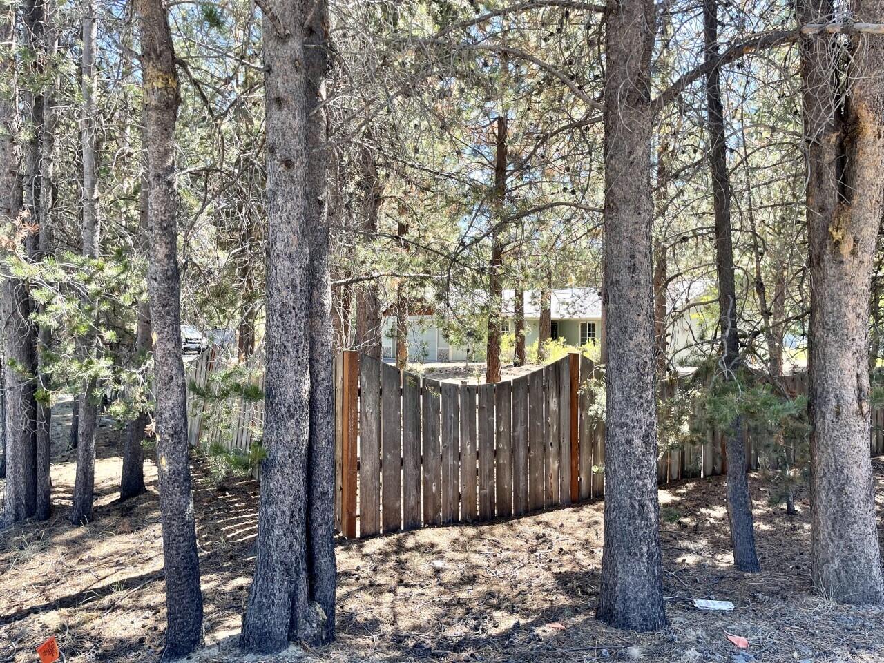 Tall Pines - Residential