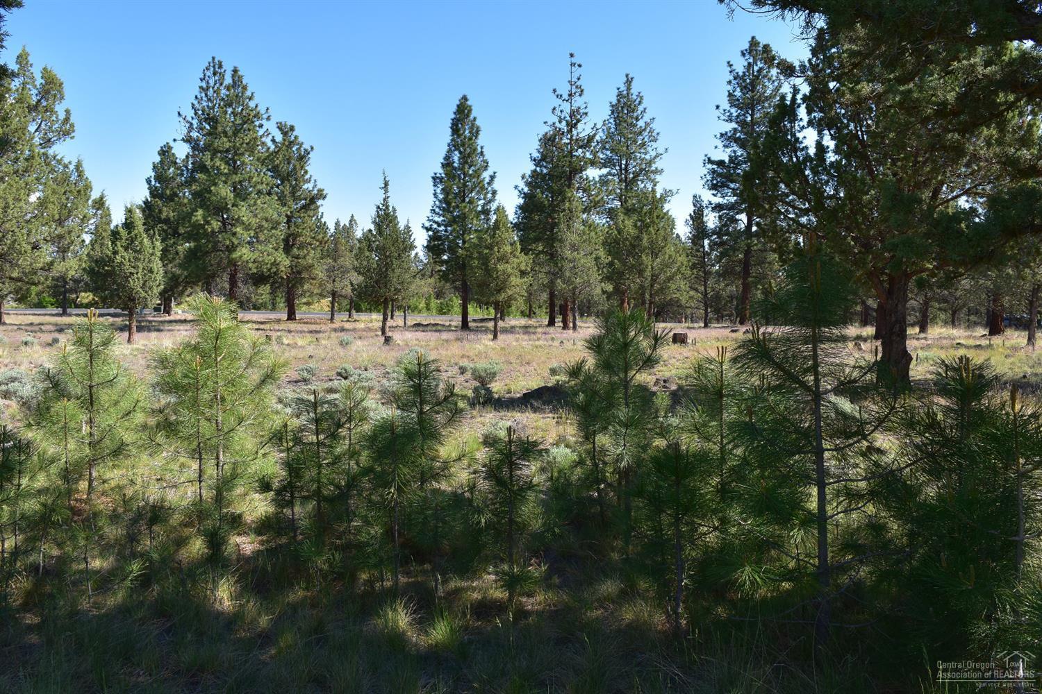 Aspen Lakes Golf Est - Land