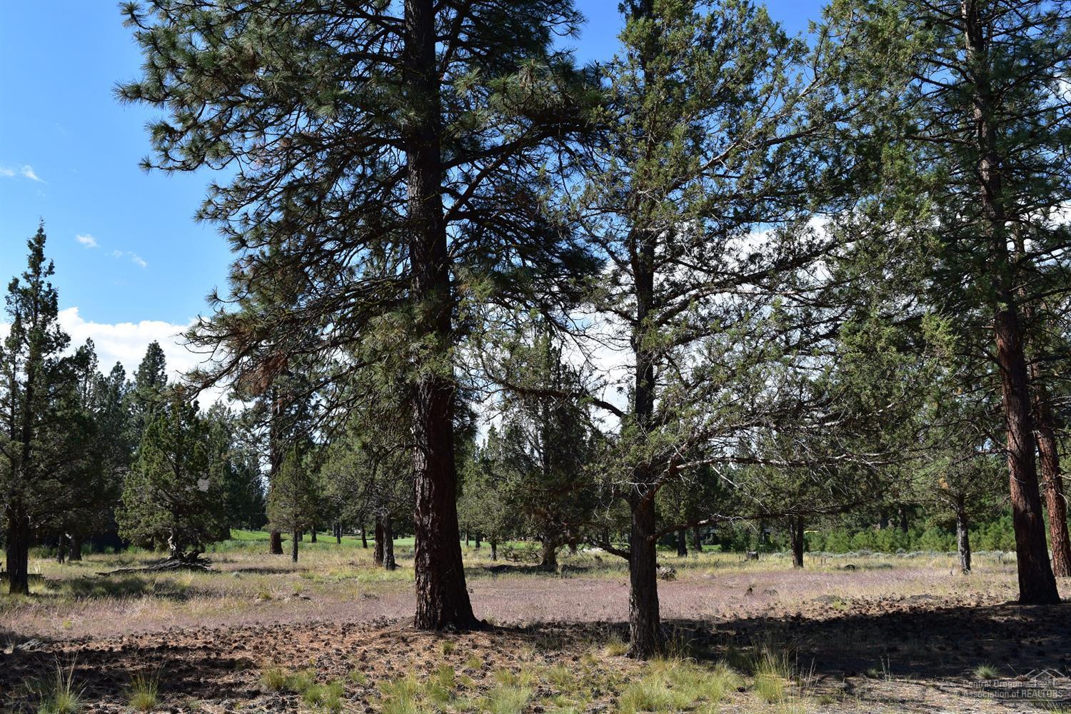 Aspen Lakes Golf Est - Land