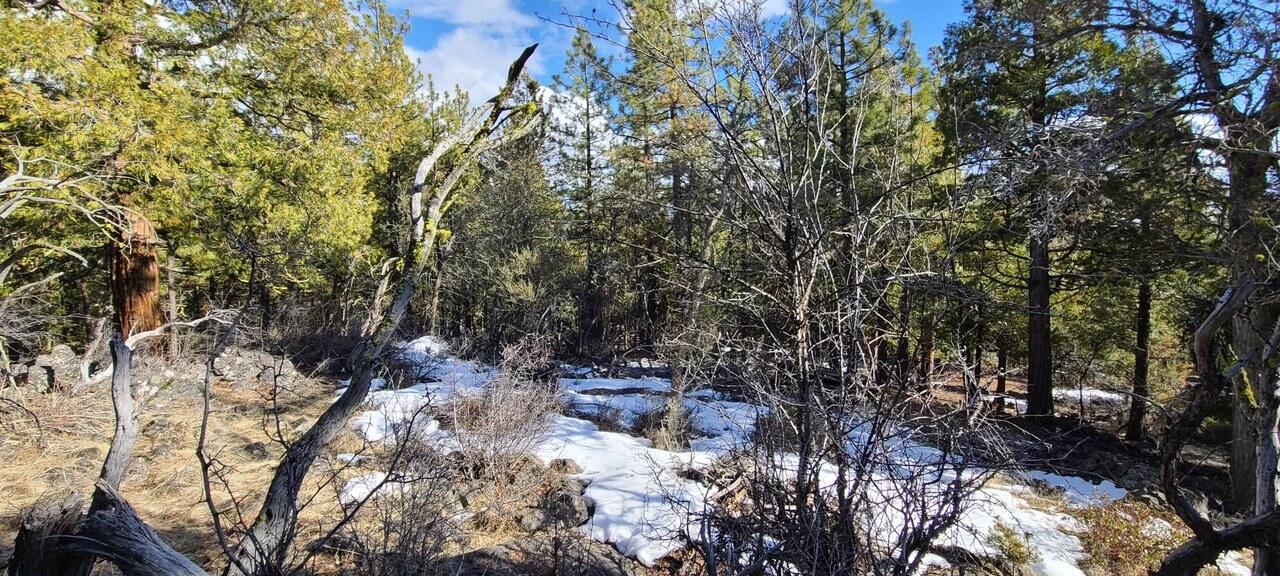 Klamath Falls Forest Estates -Hwy 66 Unit -Plat No. 1 - Land
