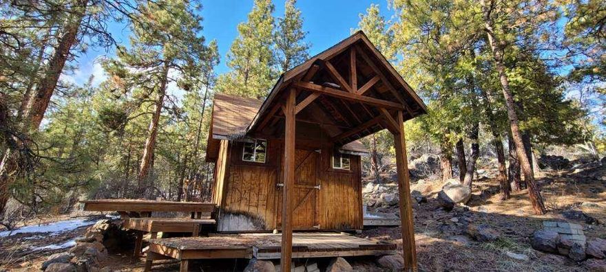 Escape to this rustic 10x10 cabin nestled on 3.45 acres of serene land with mature trees and marketable timber, offering a tranquil retreat with endless possibilities. Utilities are conveniently available at the street, and the property benefits from a community well. Whether you're looking for a cozy getaway or envision building your dream home, this property has tons of potential to bring your vision to life. Don't miss this rare opportunity to own a slice of nature with all the essentials nearby!