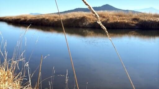 Nimrod River Park - Residential
