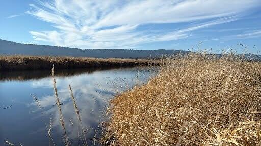 Nimrod River Park - Residential