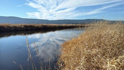 Nimrod River Park - Residential