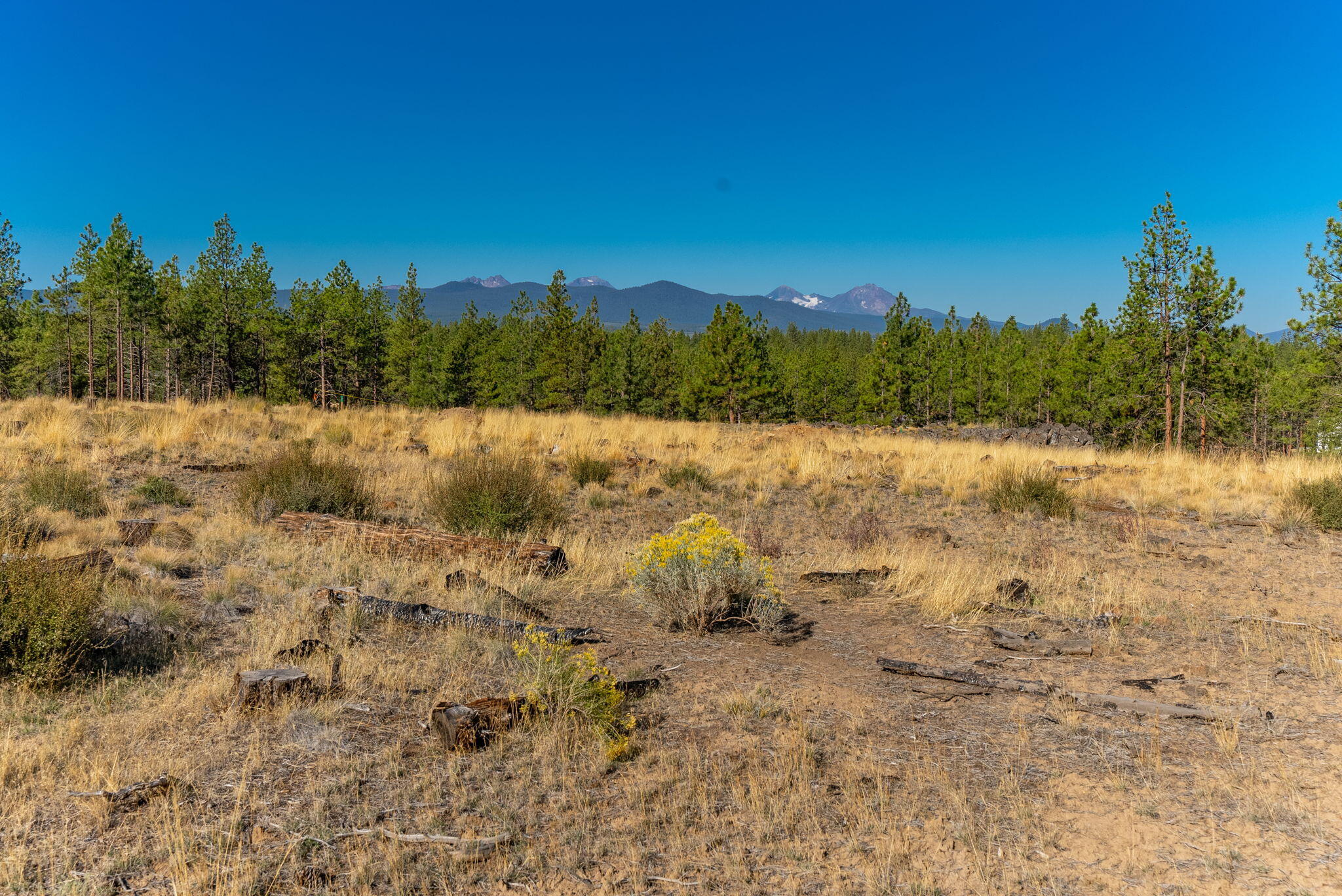 Skyline Ranch - Land