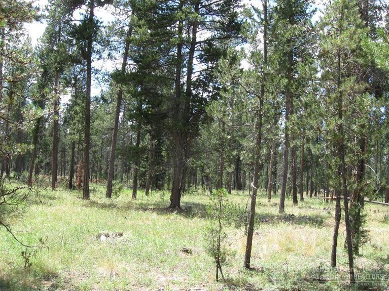 Wagon Trail Acreages - Land