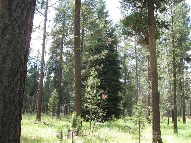 Wagon Trail Acreages - Land