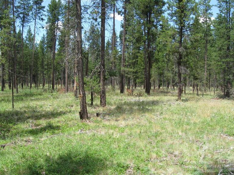 Wagon Trail Acreages - Land