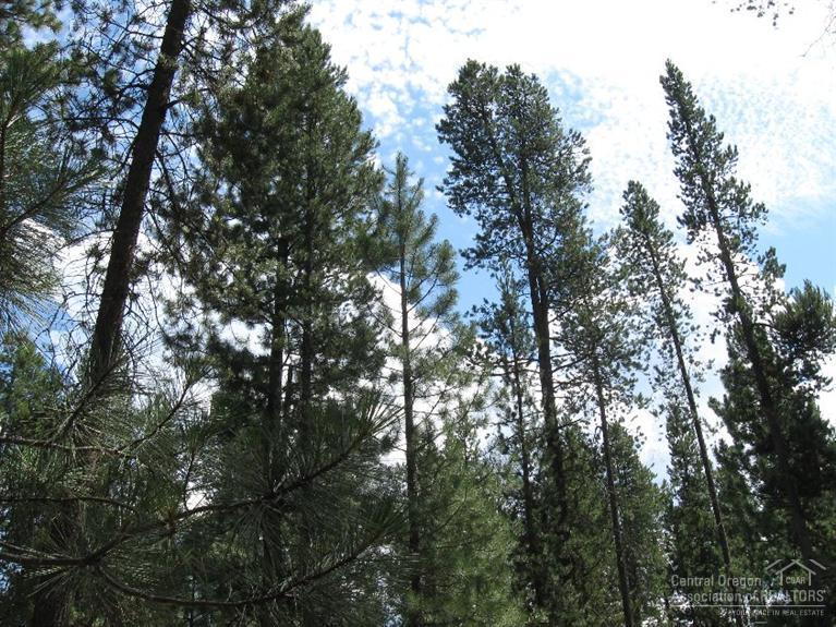 Wagon Trail Acreages - Land