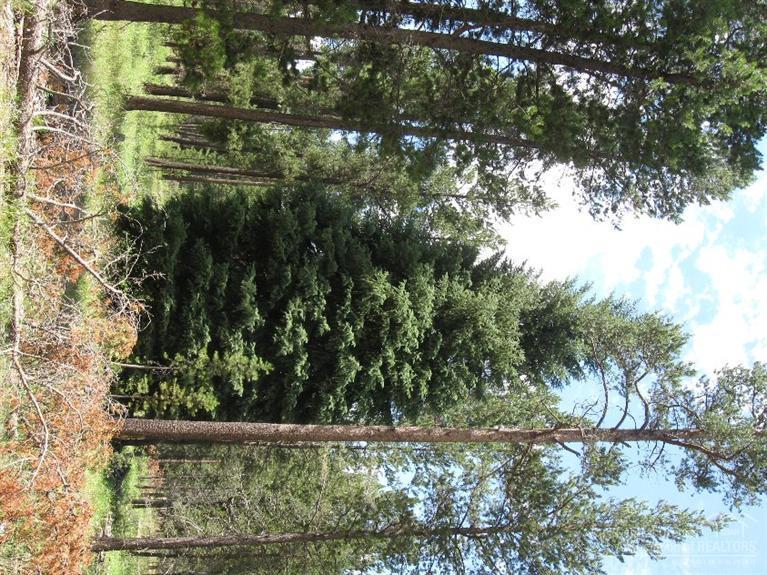 Wagon Trail Acreages - Land