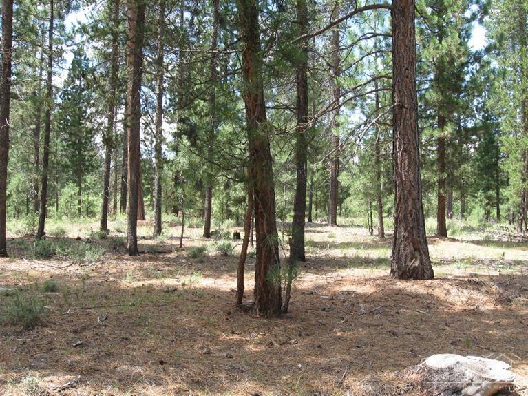 Wagon Trail Acreages - Land