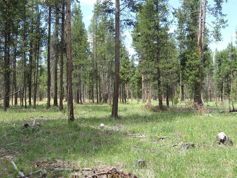 Wagon Trail Acreages - Land