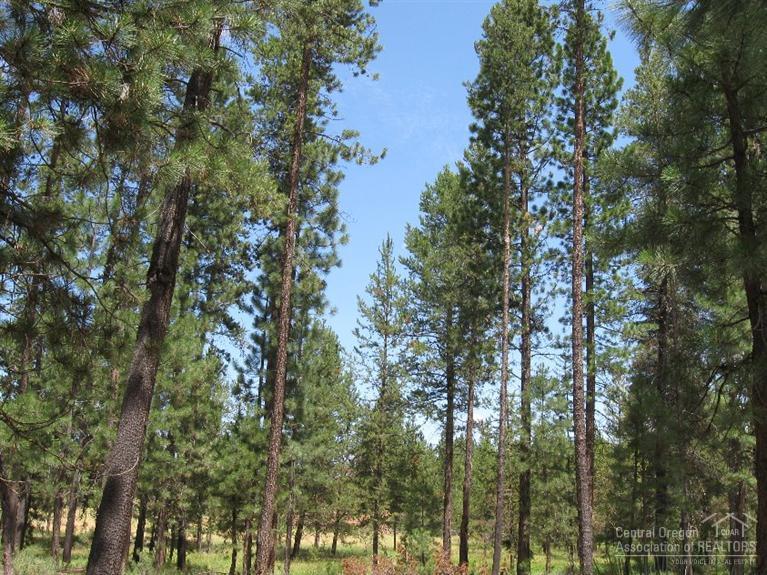 Wagon Trail Acreages - Land