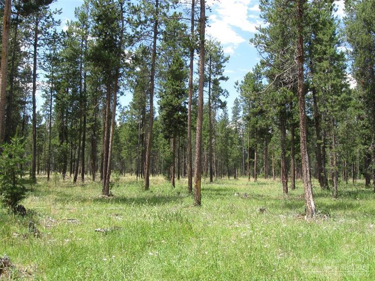 Wagon Trail Acreages - Land