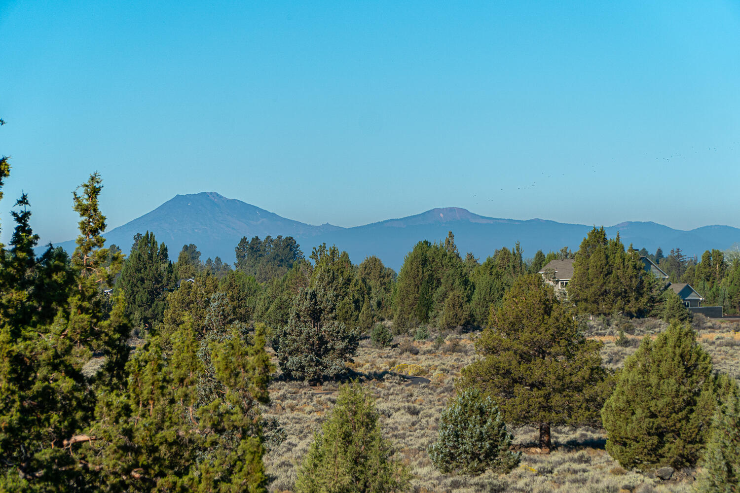 Lane Knolls - Residential