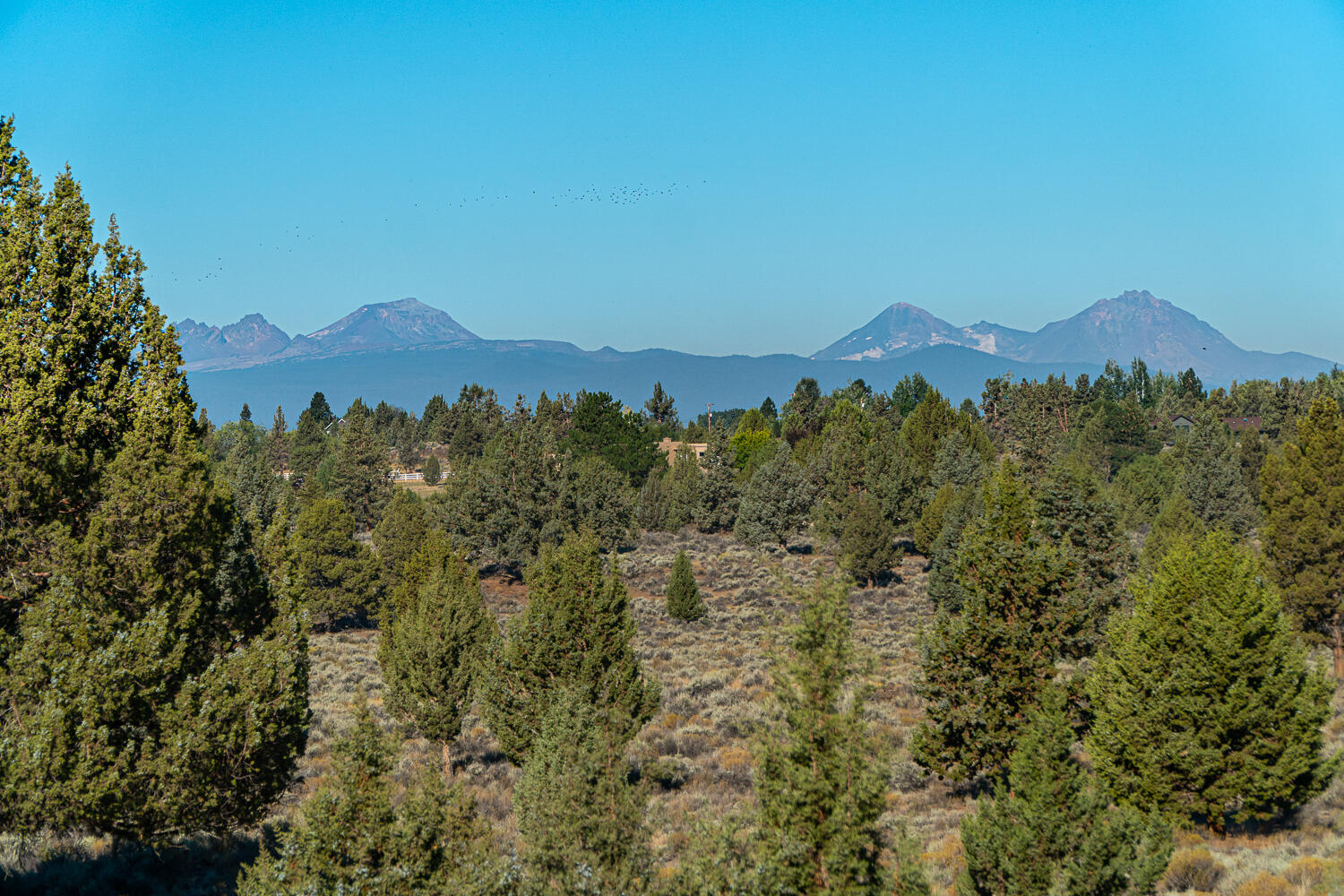 Lane Knolls - Residential