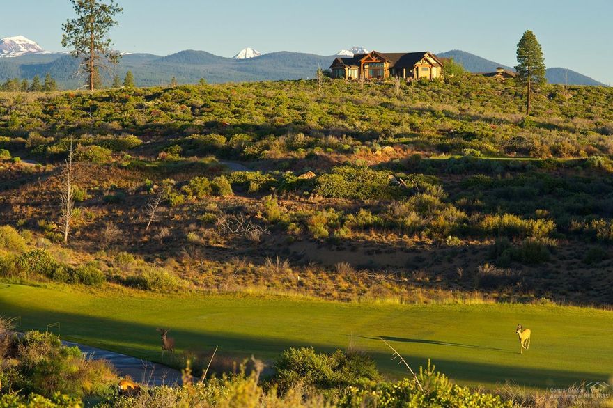 The most coveted home in Tripleknot is available for the first time! With breath taking Cascade Mountain and golf course views this home has it all. Numerous upgrades including a chef's kitchen with Viking appliances with fridge and freezer. Stunning great room and dining area with incredible natural light and privacy. Main floor master retreat with soaking tub and custom closet. Main floor den plus 2 Jr suites upstairs. Huge paver patio and outdoor fireplace.