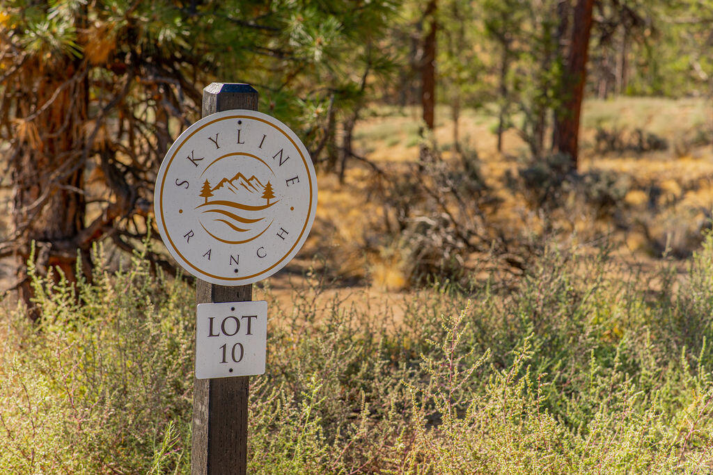 Skyline Ranch - Land
