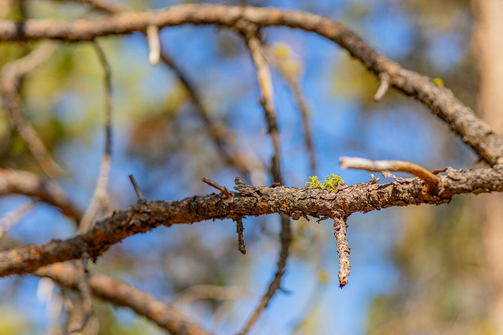 Skyline Ranch - Land