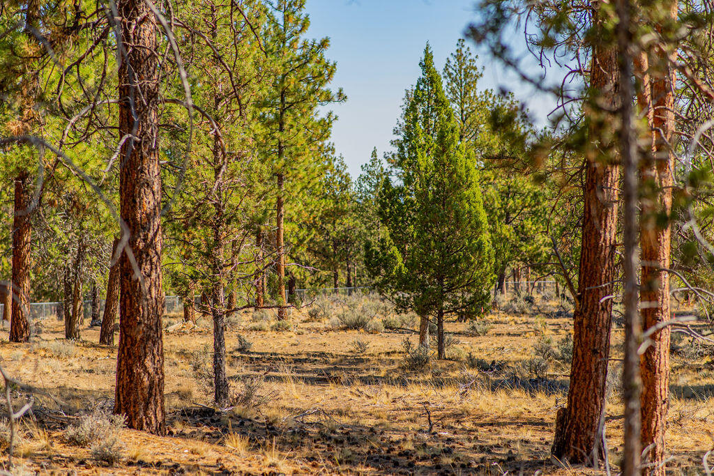 Skyline Ranch - Land