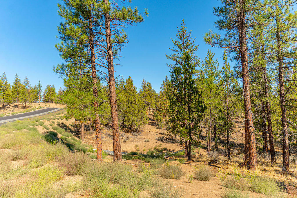 Skyline Ranch - Land