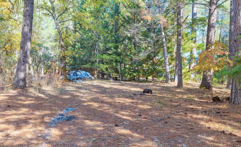 Tiny photo for 7118 Redthorne Road, Rogue River, OR 97537 (MLS # 220211543)