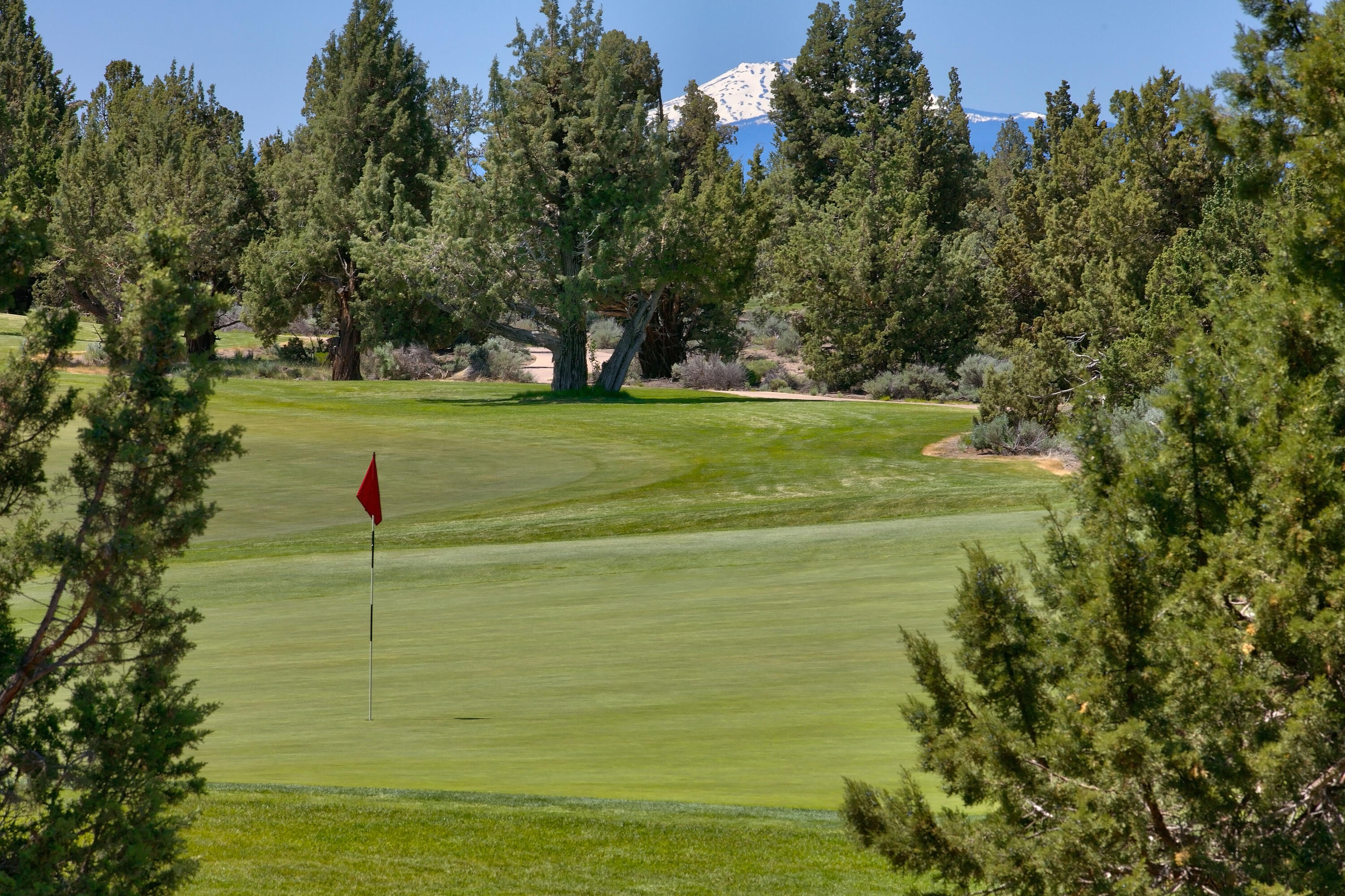 Pronghorn - Residential