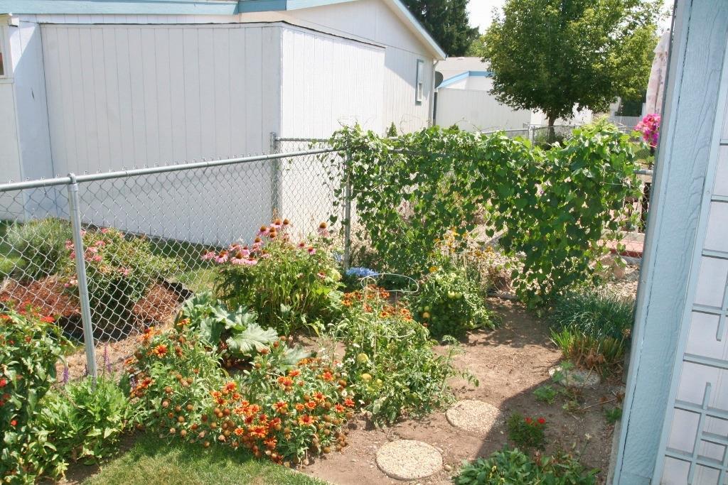 Alpine Meadows - Residential