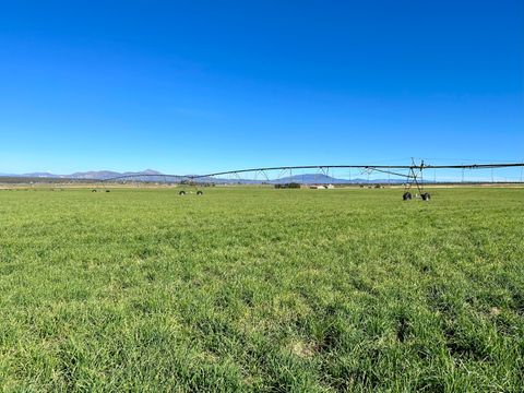 Tiny photo for 11705 SW Shumway Road, Powell Butte, OR 97753 (MLS # 220208676)