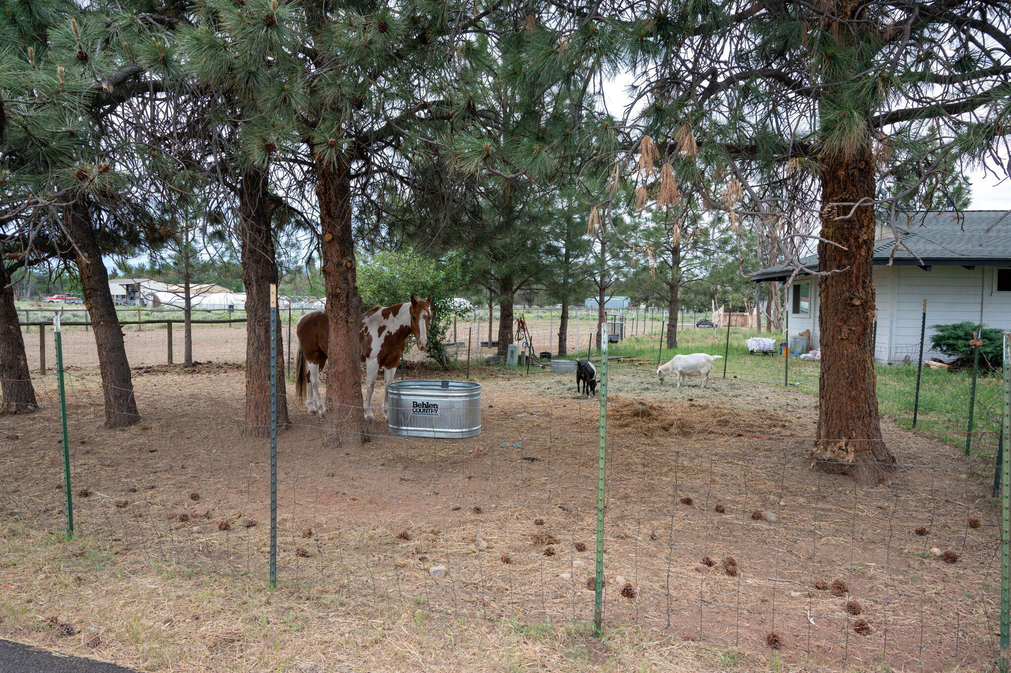 Paladin Ranch - Residential