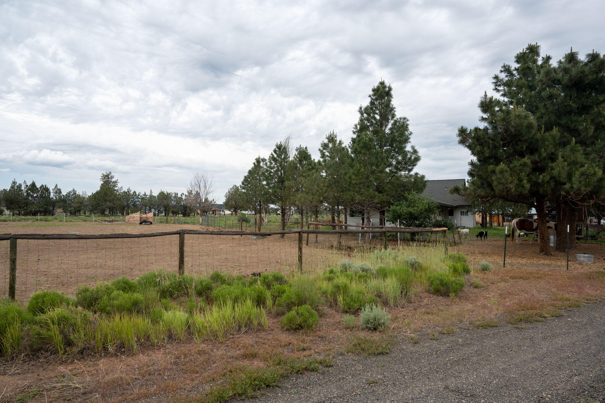 Paladin Ranch - Residential