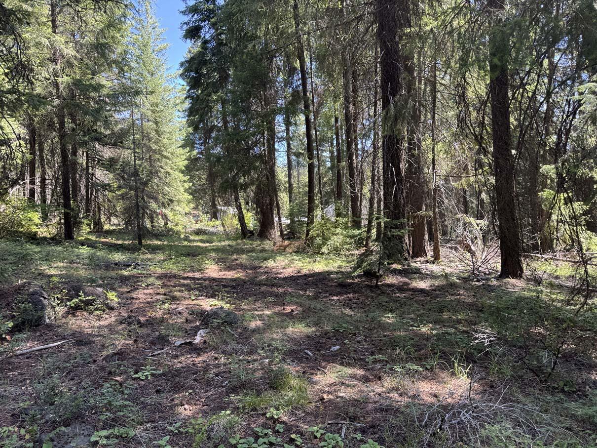 Harriman Park - Land