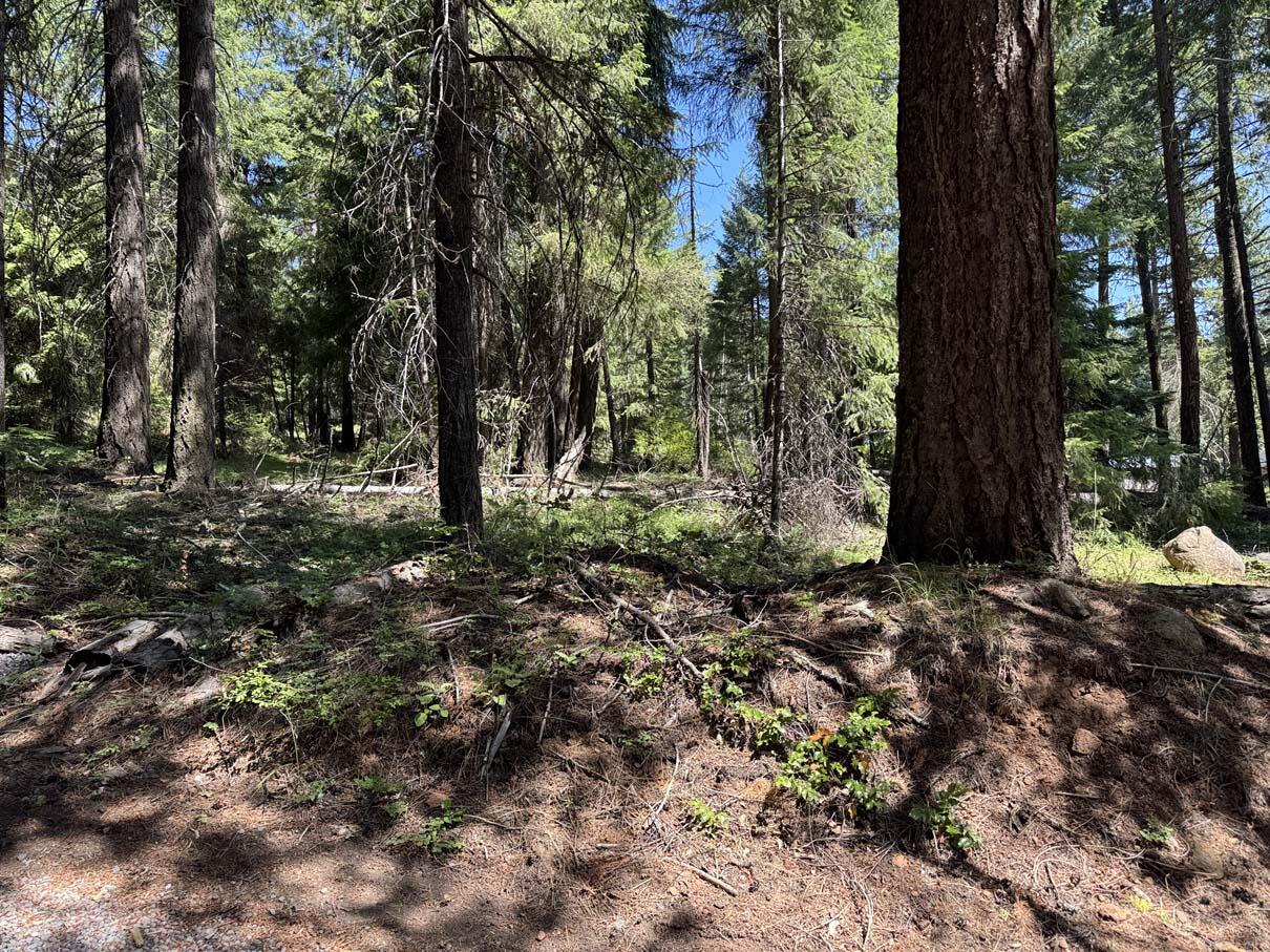 Harriman Park - Land