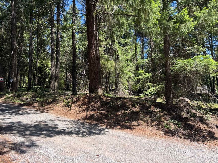 Excellent .31 residential parcel is the much sought-after Harriman Park at Rocky Point.
Nicely treed with excellent road access at the corner of Wocus Way and Rocky Point Road. Power and phone are along the road edge.
Ripe for development, this is a great one in a nice quiet area with the fire department just down the road. Easy drive into Klamath Falls for major shopping. Situated perfectly, just a few minutes from Upper Klamath Lake and Agency Lake.