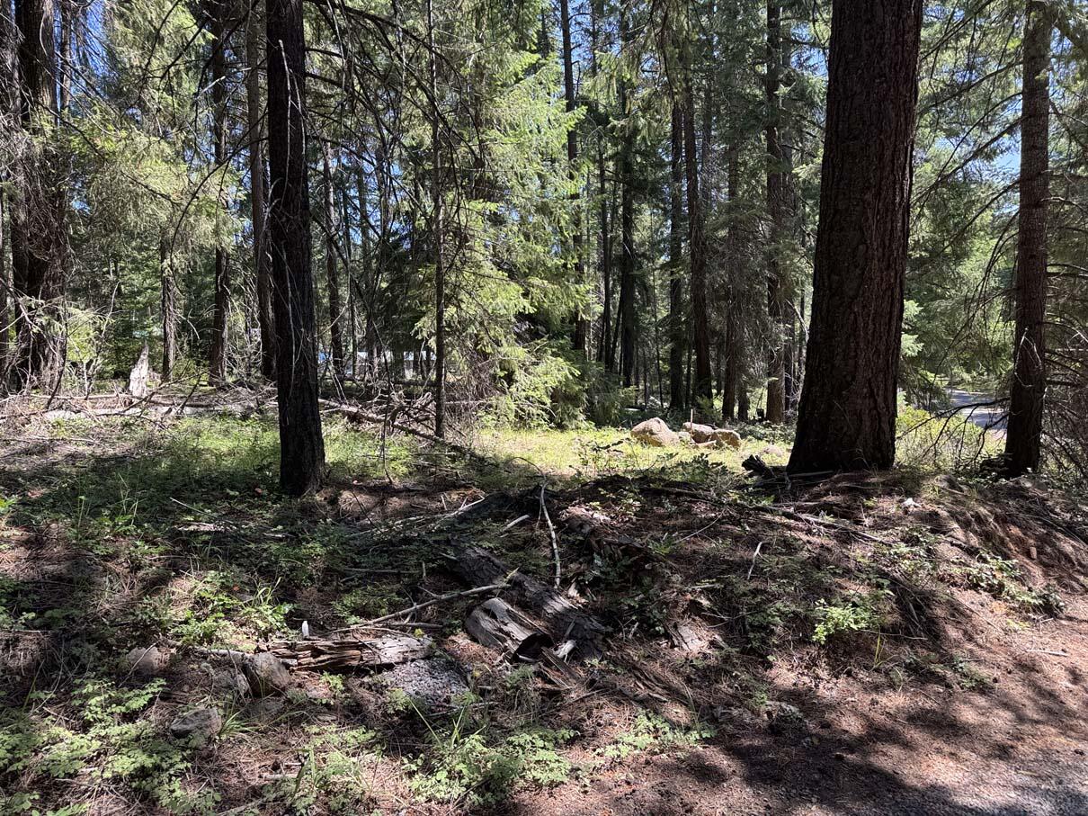 Harriman Park - Land