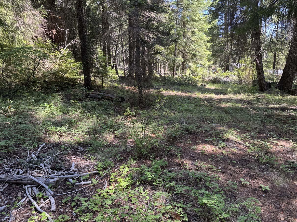 Harriman Park - Land